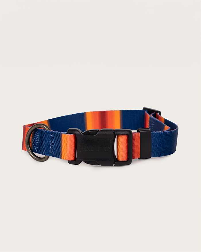 GRAND CANYON NATIONAL PARK ADVENTURE COLLAR